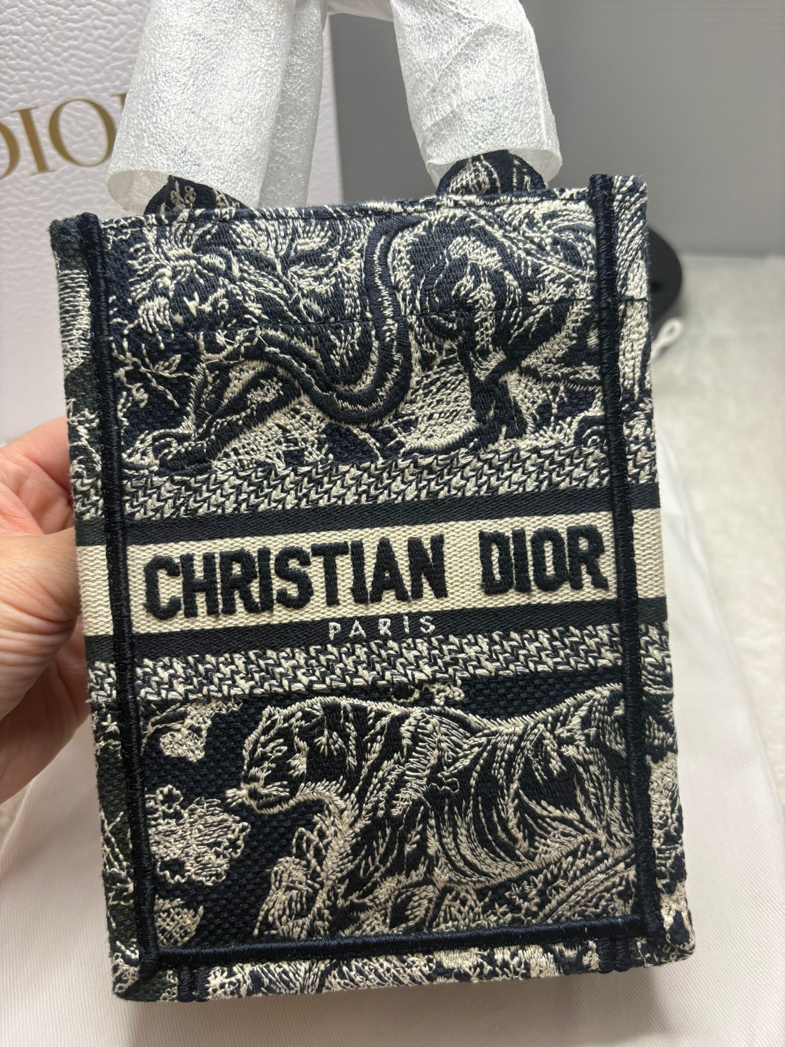 Dior Book Tote