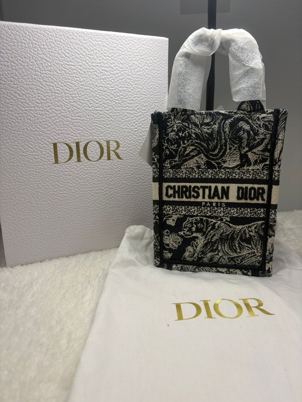 Dior Book Tote