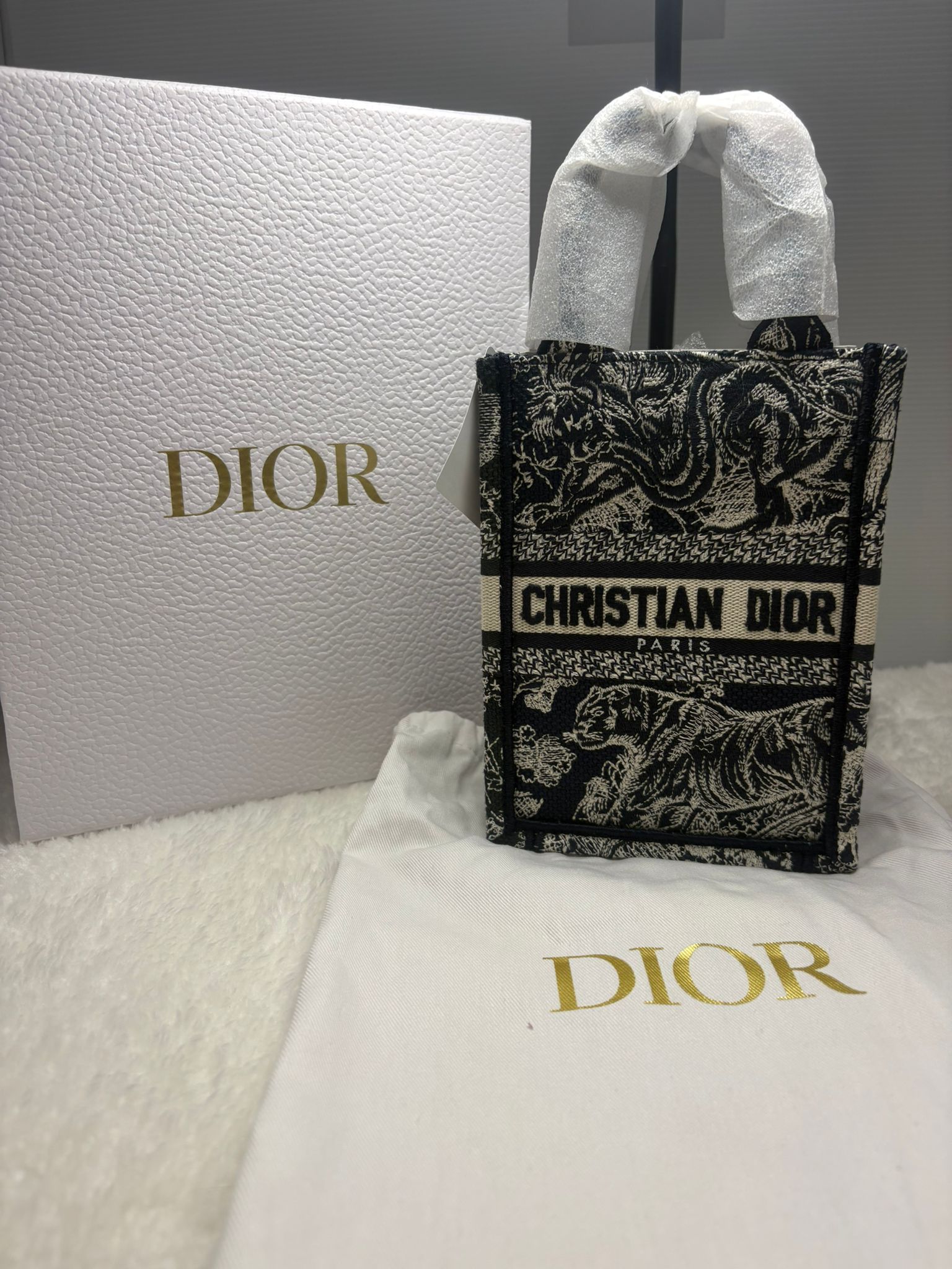 Dior Book Tote
