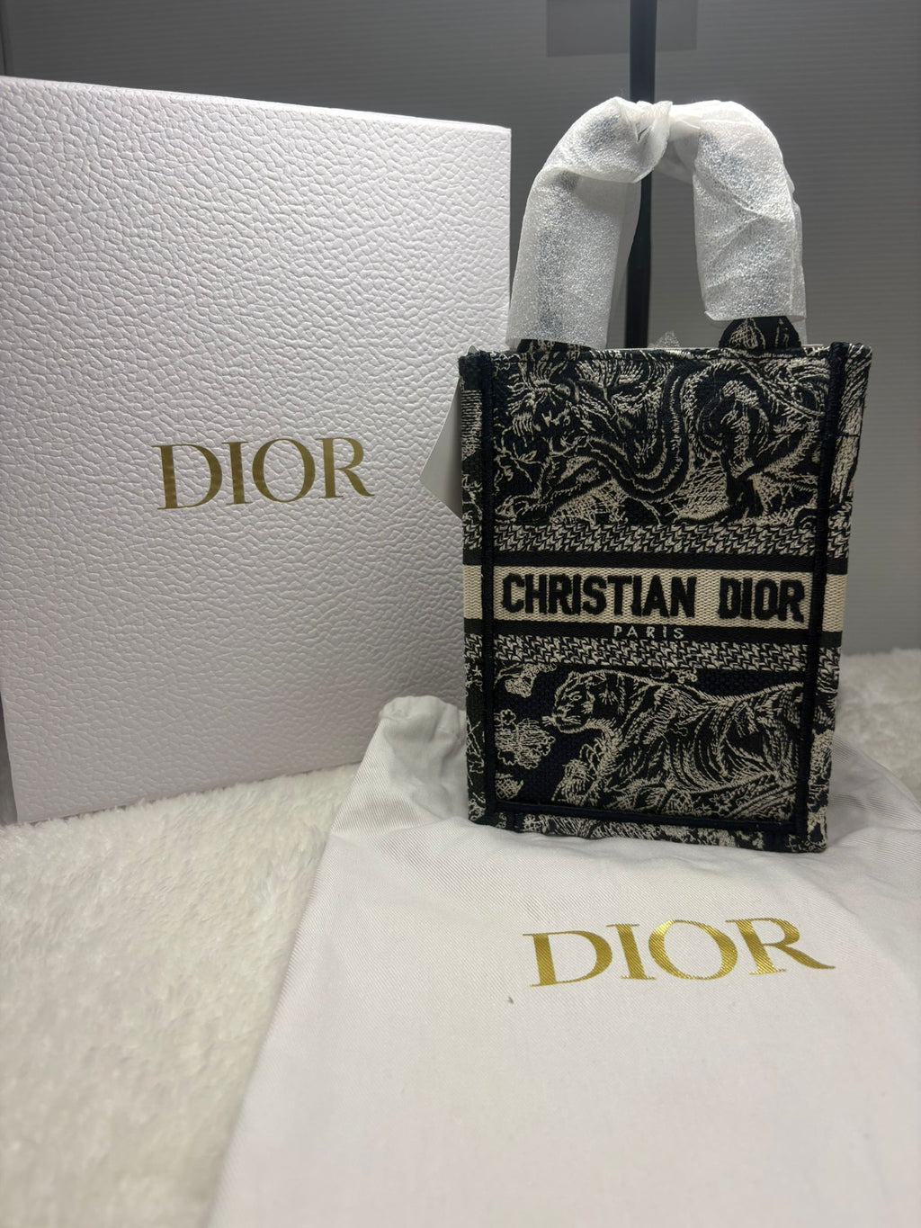 Dior Book Tote