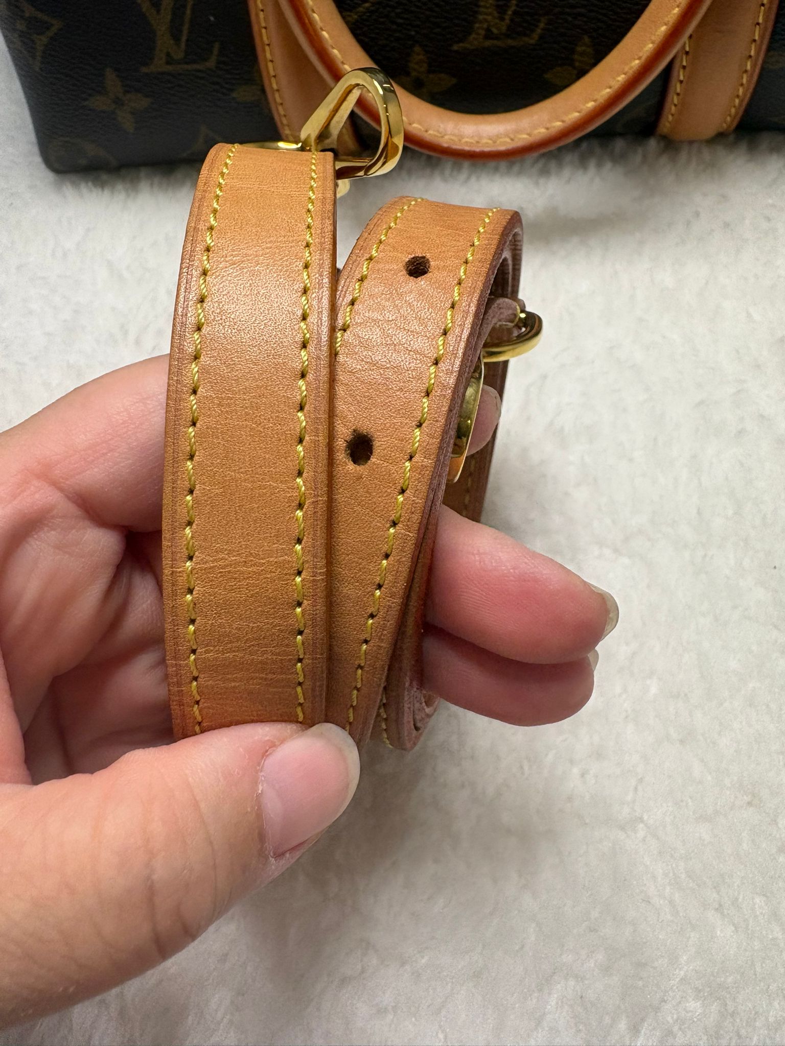 Louis Vuitton Handbag