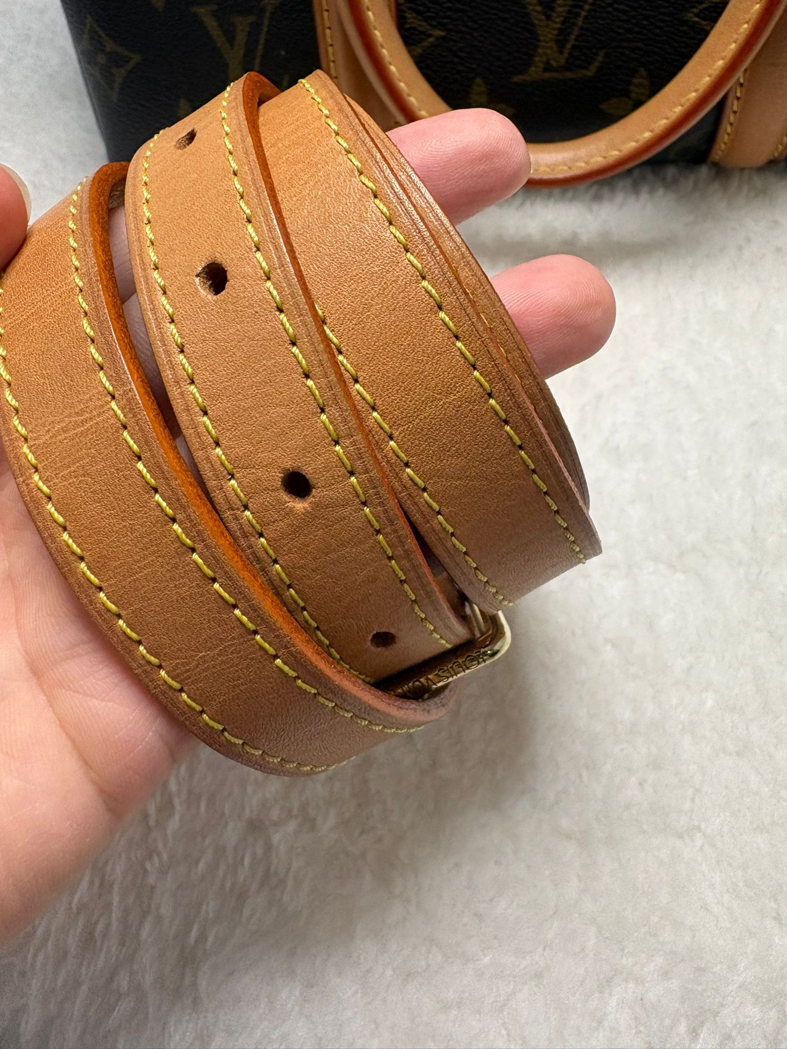 Louis Vuitton Handbag
