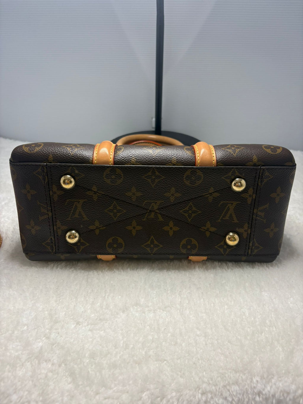 Louis Vuitton Handbag