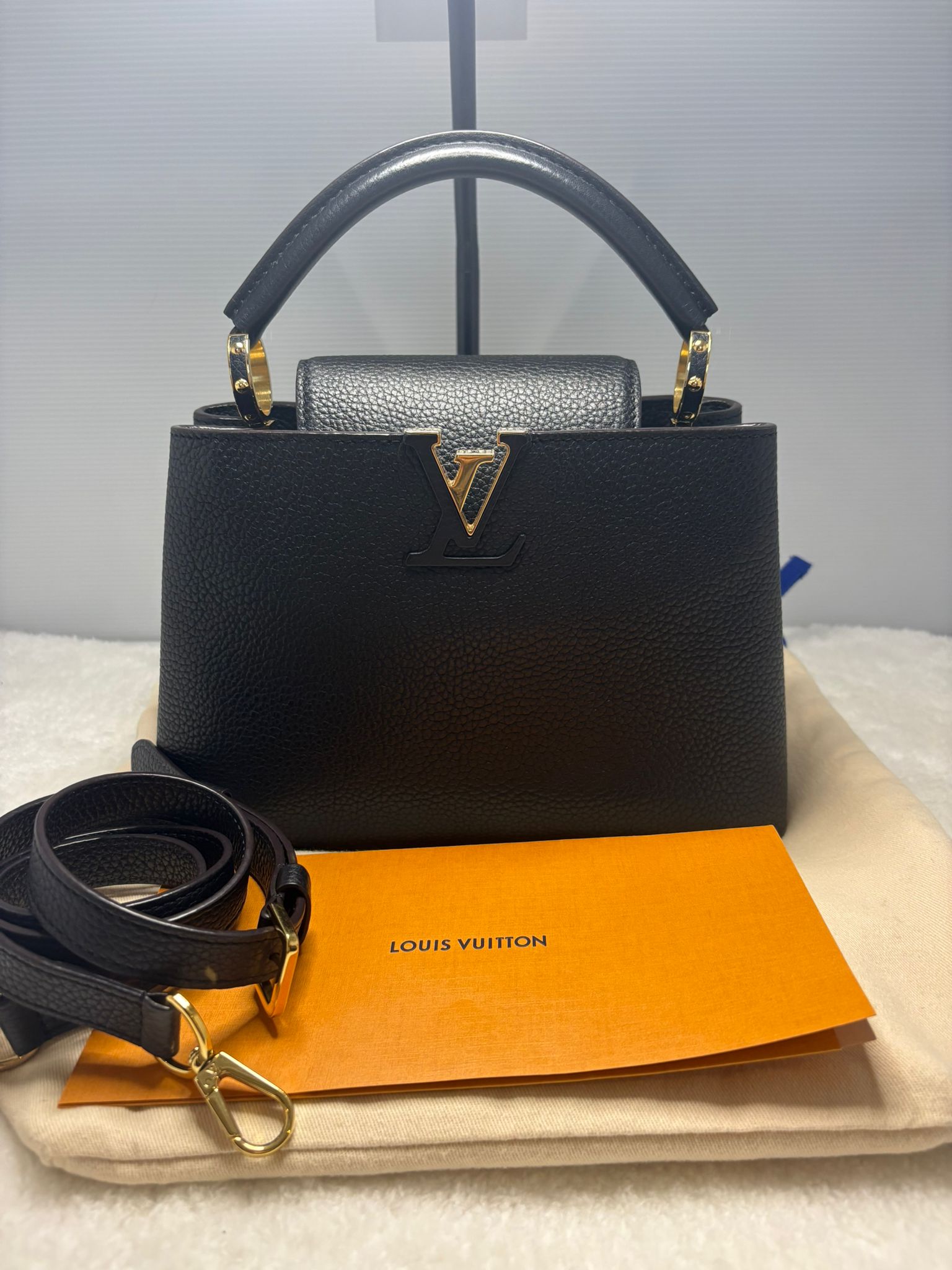 Louis Vuitton Handbag