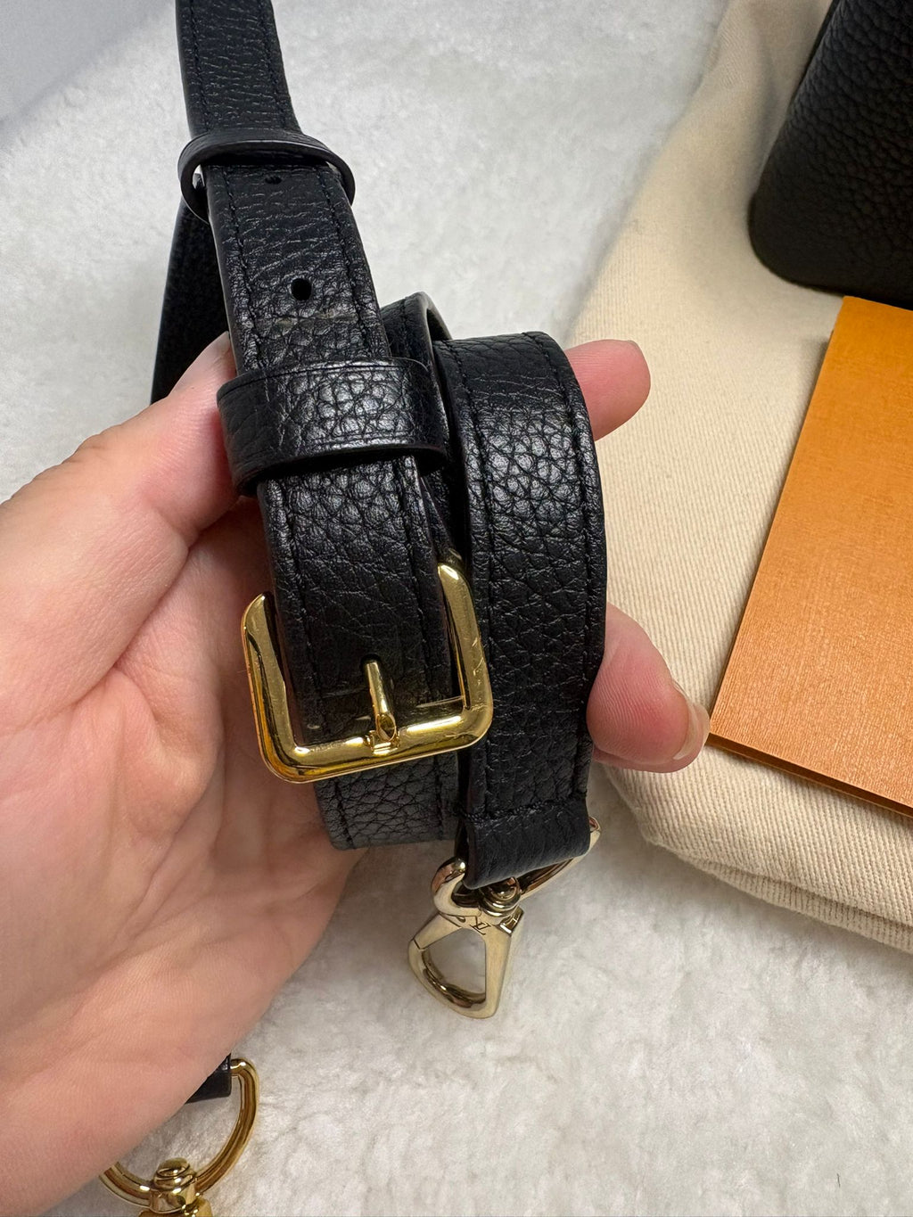 Louis Vuitton Handbag
