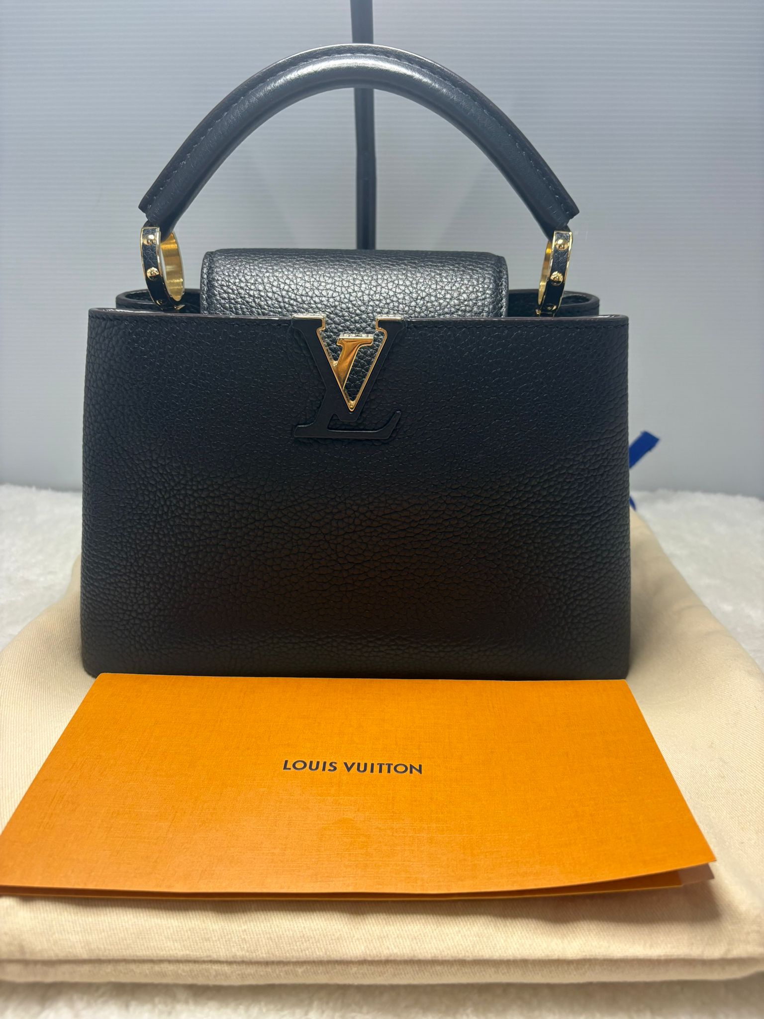 Louis Vuitton Handbag