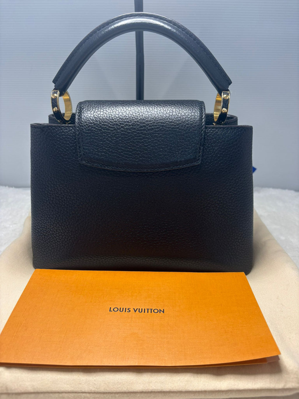 Louis Vuitton Handbag