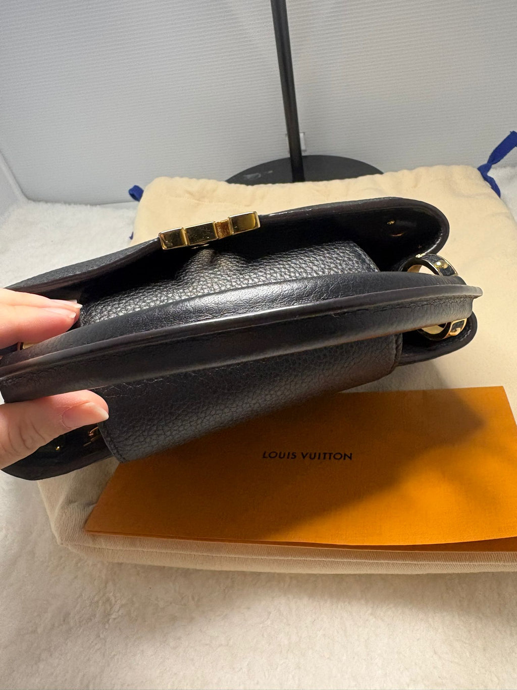 Louis Vuitton Handbag